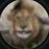 zxv_blizzov