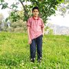 sulozade