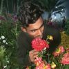 shahedkhan7985