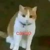 whyhow4