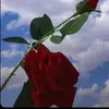 toto69to