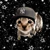 amo_tom_kaulitz