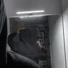 theoktice