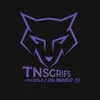 TNSGR1FS