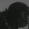 annn_shu10