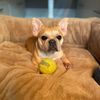 _lola.sheehy