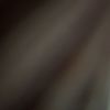 evv_twop