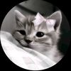 .its.me7485
