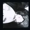 jadyyy_kaulitzadaaa