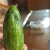 kumaha_ngaing