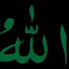 hassinali6417