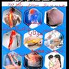 dr.riaz15wtsp