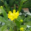 mariaaparecidamar1124