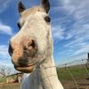 beth_and_aspen_08