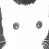 angeleceyescolective