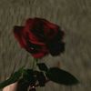 user59486802980103