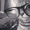 defnot_catt