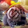 acewwwwwwwwwww