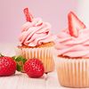 vivisvitbake