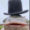 seabasstian.a