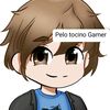pelo_tocinogamer1