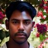 Vimal