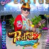 pedrito.montaez.s