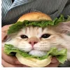 ngdepnoinhieu