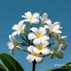 user1412619211310