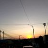 teko.doren2