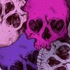 boney.kitty