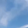 🌈HỒNG60DN88🌈