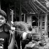 kandang.lt