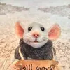 pascalcollignon8