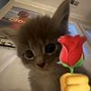 zahra_9580