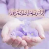 mirhan3492