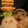 hat_491