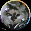 urlocallesbian_joebean