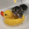 gerasim_555