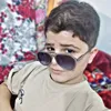 313azl