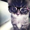 sil_pwess27