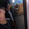 diomar.jma