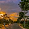 al_lail219