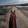 عٍآشُق آلُخـيَلُ🐎 ۆآلُبحٍرٍ🌊