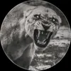 hama_akoy00