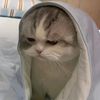 rinnnaaa6