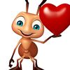 onet_228