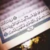 user5658786180067