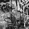 _tyaa.42