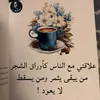 user31813722488048
